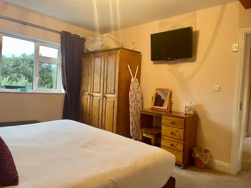 a bedroom with a bed and a television on the wall at Buttermilk Lodge in Clifden
