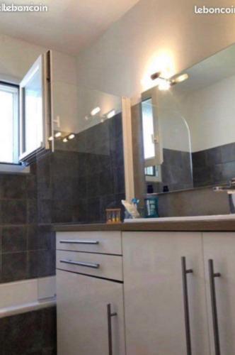 une salle de bain avec un lavabo et un miroir dans l'établissement Chambre dans belle maison à Lattes, à Lattes