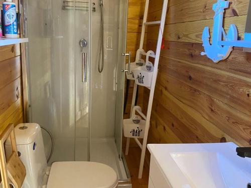 uma casa de banho com um chuveiro, um WC e um lavatório. em Holiday home with private sauna and jacuzzi em Stepnica