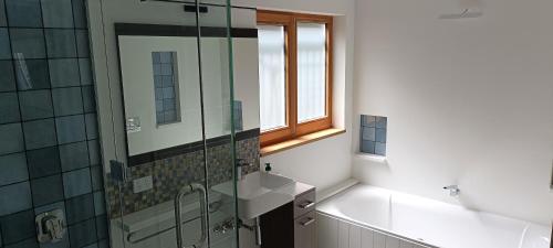 ein Bad mit einem Waschbecken und einer Glasdusche in der Unterkunft New luxury waterfront accommodation in Dunedin