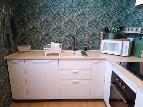 un comptoir de cuisine avec un évier et un micro-ondes dans l'établissement Maison Salomé en hyper centre (intégralement rénovée et équipée), à Saint-Omer