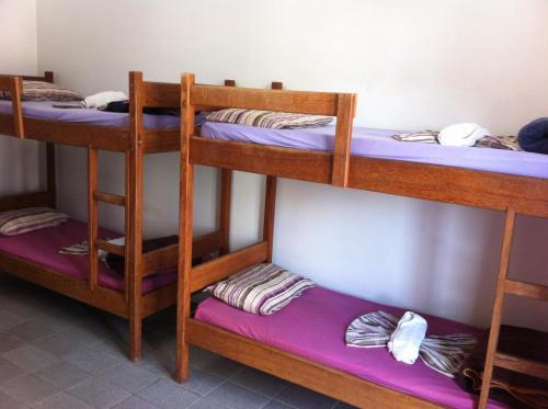 two bunk beds in a room with purple sheets at Hostel Canasvieiras in Florianópolis