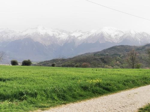 a field of green grass with snow capped mountains in the background at Il Casale del Sole in Tossicia
