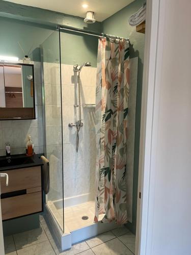 a bathroom with a shower with a shower curtain at L'enclos bleu, gîte - marais poitevin avec piscine chauffée in Chaillé-les-Marais