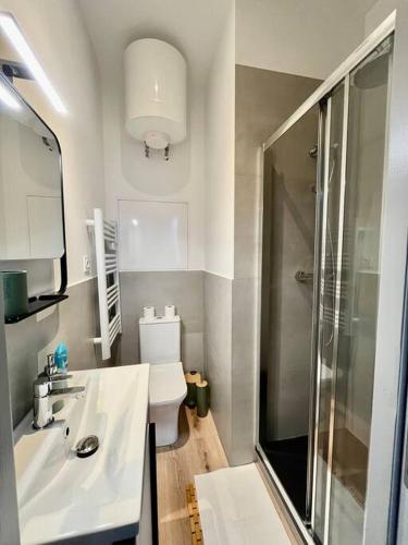 une salle de bain avec toilettes, lavabo et douche dans l'établissement Studio moderne/rue Encombe Vineuse- DABNB, à Limoges