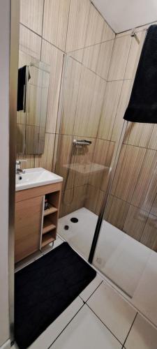 a bathroom with a shower and a sink at Logi du carabin in Brax
