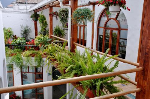 a stairway filled with plants in a building at Boutique Hotel Casa Foch in Quito