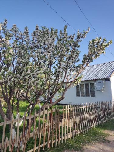 une clôture devant une maison blanche avec un arbre dans l'établissement Нуска конок уйу, à Kasymbek