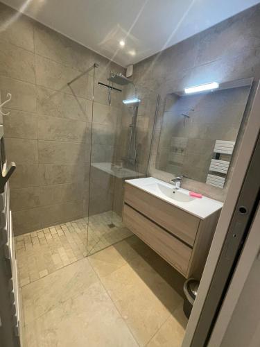 une salle de bain avec un lavabo et une douche dans l'établissement la brise du Brusc, à Six-Fours-les-Plages