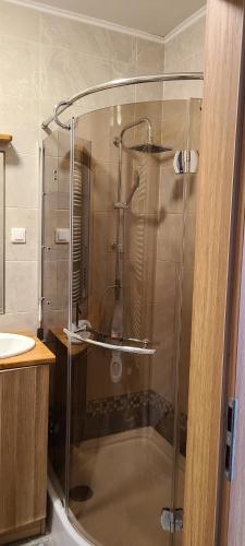 a shower with a glass door in a bathroom at WellSituated 1 Bedroom Condo in Warsaw freeparking in Warsaw