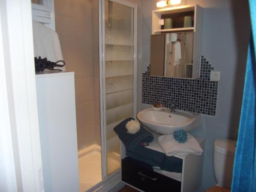 a small bathroom with a sink and a shower at les mésanges in La Grève-sur-Mignon