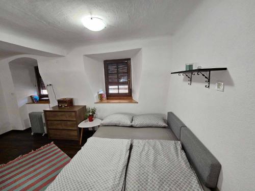 Apartment Room Old City - Apartment Slavija في شكوفجا لوكا: غرفة معيشة مع سرير ونافذة