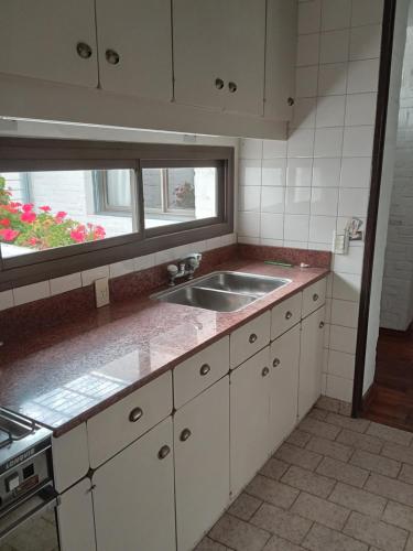 eine Küche mit einem Waschbecken und einem Fenster in der Unterkunft EnBenegas in Mendoza
