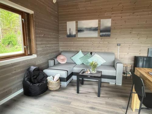ÖstmarkenWater front scandinavian Forest View with no neighbors的带沙发和桌子的客厅