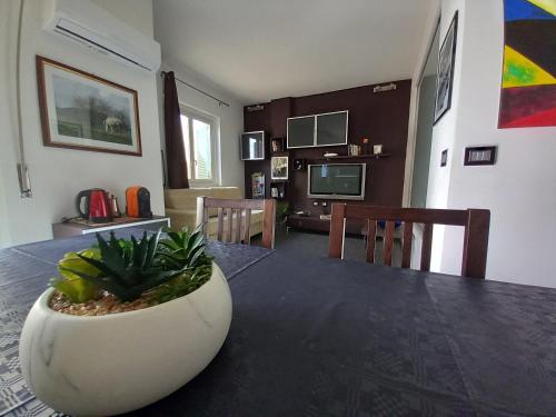 a dining room with a table with a plant on it at Casa sul mare in Isola delle Femmine