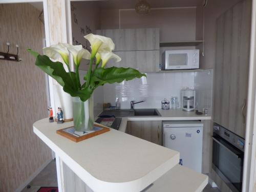 un vase de fleurs sur un comptoir dans une cuisine dans l'établissement Le Chenal, à Saint-Gilles-Croix-de-Vie