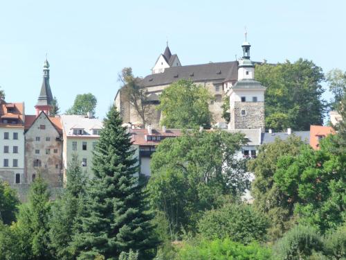 a view of a city with trees and buildings at Penzion U Splavu in Loket