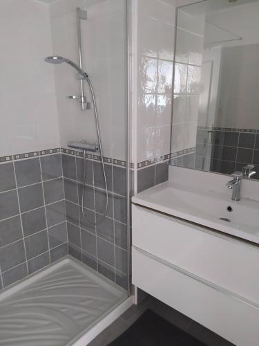 une salle de bain avec douche et lavabo dans l'établissement vue Mer, à Saint-Laurent-du-Var