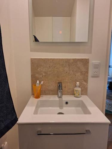 Appartement 35 m² dans le Marais