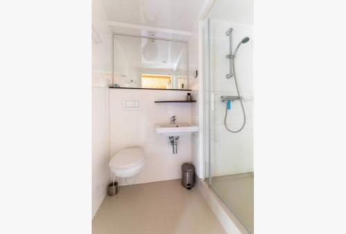 een badkamer met een douche, een toilet en een wastafel bij Vakantiepark de Eikenhof in Paasloo