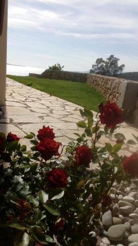 a group of red roses on a stone walkway at PRINCESS OF BLUE EAGLES RETREAT in Skaloma