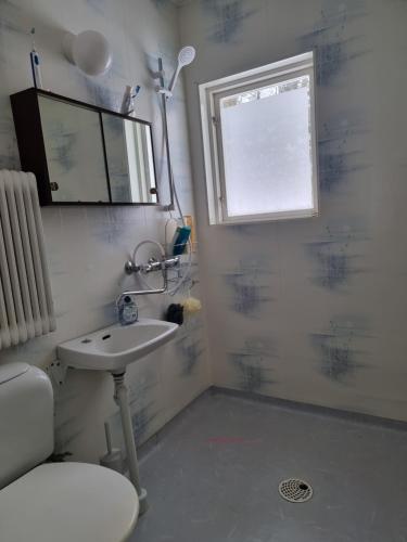 Ένα μπάνιο στο Överkalix Kalixalven Lodge Jockfall