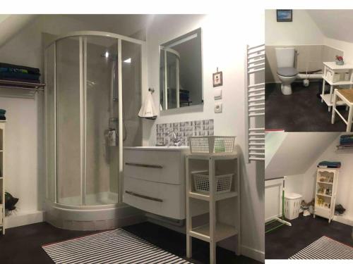 une salle de bain avec douche et lavabo dans l'établissement Maison accueillante en Normandie, à Montivilliers