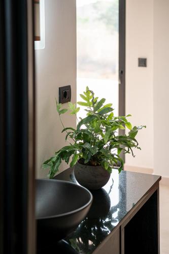 a plant sitting on a counter next to a sink at Theta Boutique Hotel in Chania
