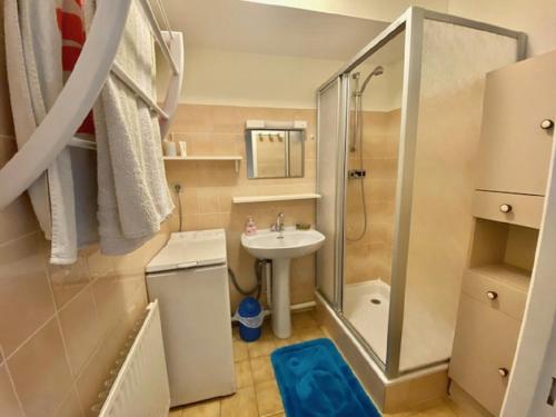 une petite salle de bain avec un lavabo et une douche dans l'établissement Le Jaunay, à Saint-Gilles-Croix-de-Vie