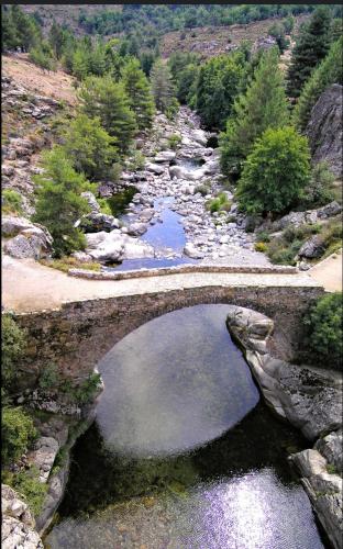 a bridge over a river with rocks and trees at À casetta in Albertacce