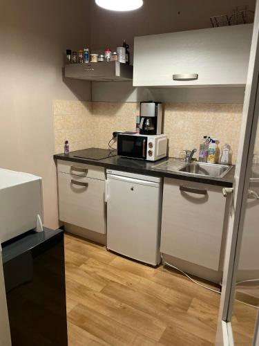 eine kleine Küche mit einer Spüle und einer Mikrowelle in der Unterkunft Manuezen studio très fonctionnel au calme in Vesoul