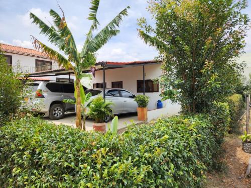Zahrada ubytování Apartamento Santa Barbara