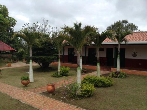 a group of palm trees in front of a building at Villa Liliana Lodge Mesa de los Santos in Los Santos