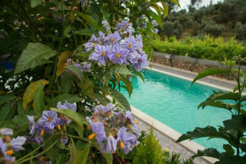a swimming pool with blue flowers in front of it at Quinta Ribeiro Tanquinhos in Tancos
