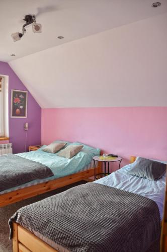 two beds in a room with purple walls at Agroturystyka w Świcie in Tuchola