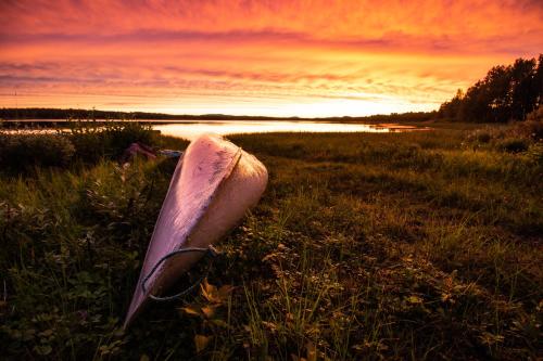 a boat sitting on the grass in a field at Blueberry Lodge 8 personnes in Mjölan