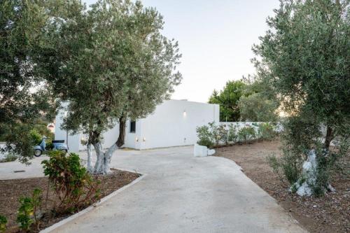 Κήπος έξω από το L'eros Villa Grandma's house