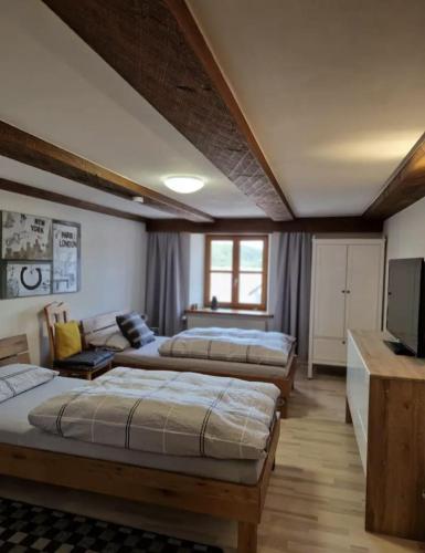 ein Schlafzimmer mit 3 Betten und einem TV in der Unterkunft Schwarzwald Ferienwohnung Monteure in Görwihl