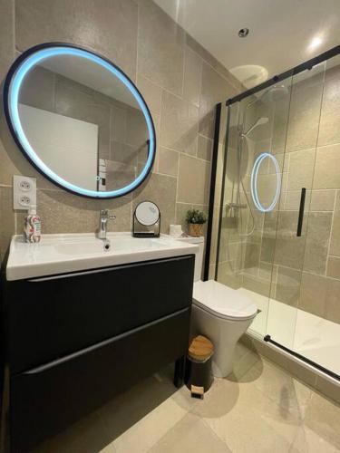 une salle de bain avec un lavabo et un miroir et des toilettes dans l'établissement Magnifique T2 -Au creux du Jura- Saint Claude, à Saint-Claude