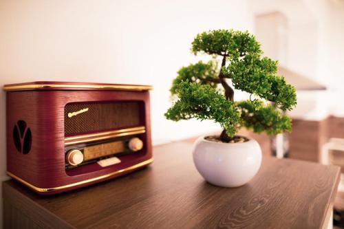 ザグレブにあるFlexible SelfCheckIns 70 / Arena / Garage / Bedroom/ Newのラジオの横にある白い花瓶に入った小さな木