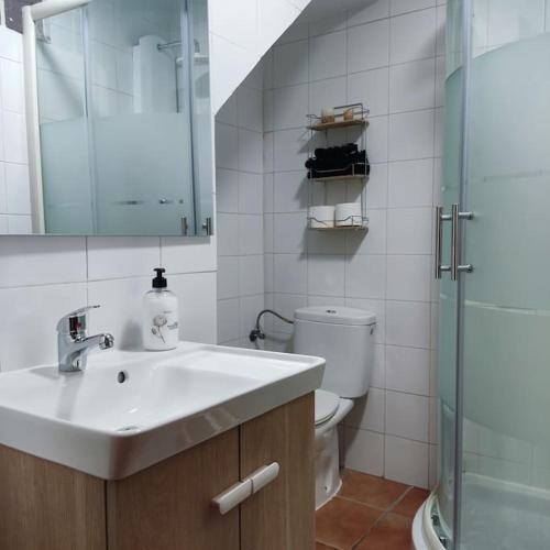 ein Bad mit einem Waschbecken, einer Dusche und einem WC in der Unterkunft Vivienda cerca de Sotogrande in San Enrique de Guadiaro