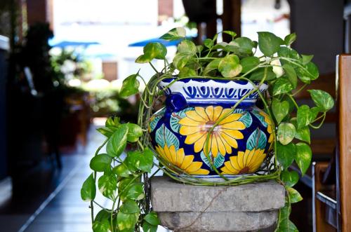 a blue and yellow vase with a plant in it at Hotel Hacienda Vallarta - Playa Las Glorias in Puerto Vallarta