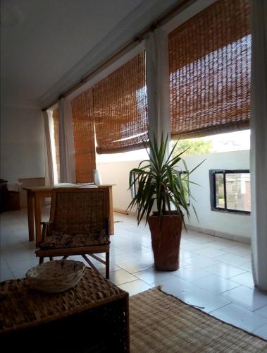 a living room with a chair and a potted plant at Maison Manour, suite Maison Manour, chambre avec salle de bain privée in Mbour