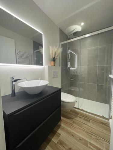 une salle de bain avec un lavabo, des toilettes et une douche dans l'établissement Cosy Jungle Room, évadez vous à Saint Claude, à Saint-Claude