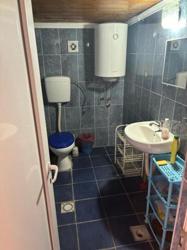 a bathroom with a toilet and a sink at Miky Apartments in Podgorica