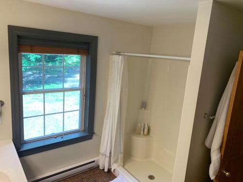 La salle de bains est pourvue d'une fenêtre et d'une douche avec rideau de douche. dans l'établissement Discover Spring Haven in a Cozy Cabin Catskills, à Palenville