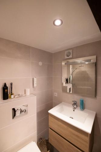 une salle de bain avec un lavabo et un miroir dans l'établissement La Petite Cour - Atypique, calme et cozy, à Strasbourg