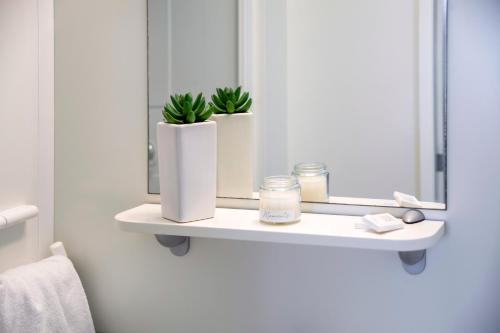 a bathroom shelf with two plants and a mirror at Glamping and Mobile Homes Lavanda - Holiday Centre Bi VIllage in Fažana