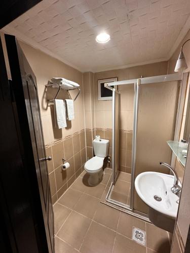 a bathroom with a toilet and a sink at Mina 1 Hotel in Ankara