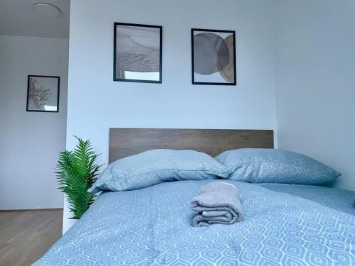 ein blaues Schlafzimmer mit einem Bett mit blauen Kissen in der Unterkunft Modern Rooftop Apartment with Free Parking in Wien